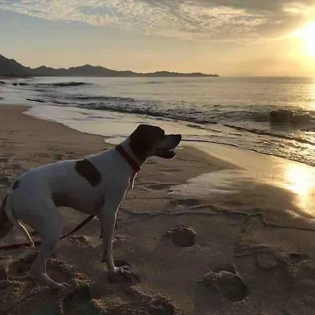 Antonio * Costa Rei