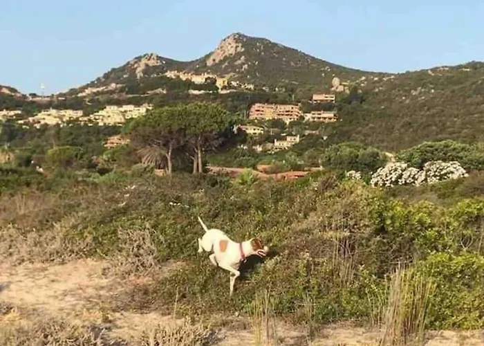 Antonio Дом отдыха Коста Рей