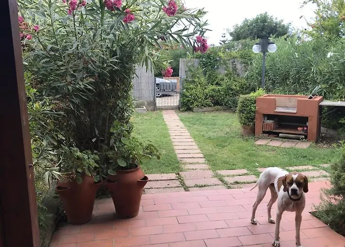 Antonio Дом отдыха Коста Рей